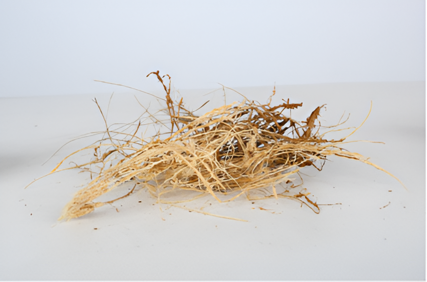 Coir