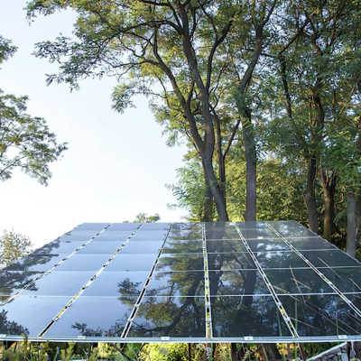 Why Choose Solar