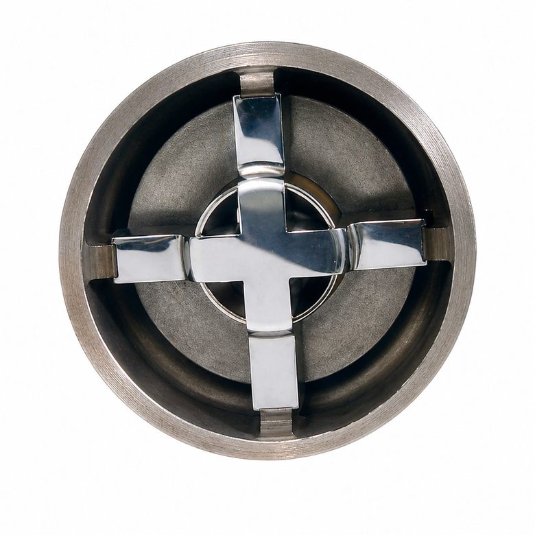 Disc check valve