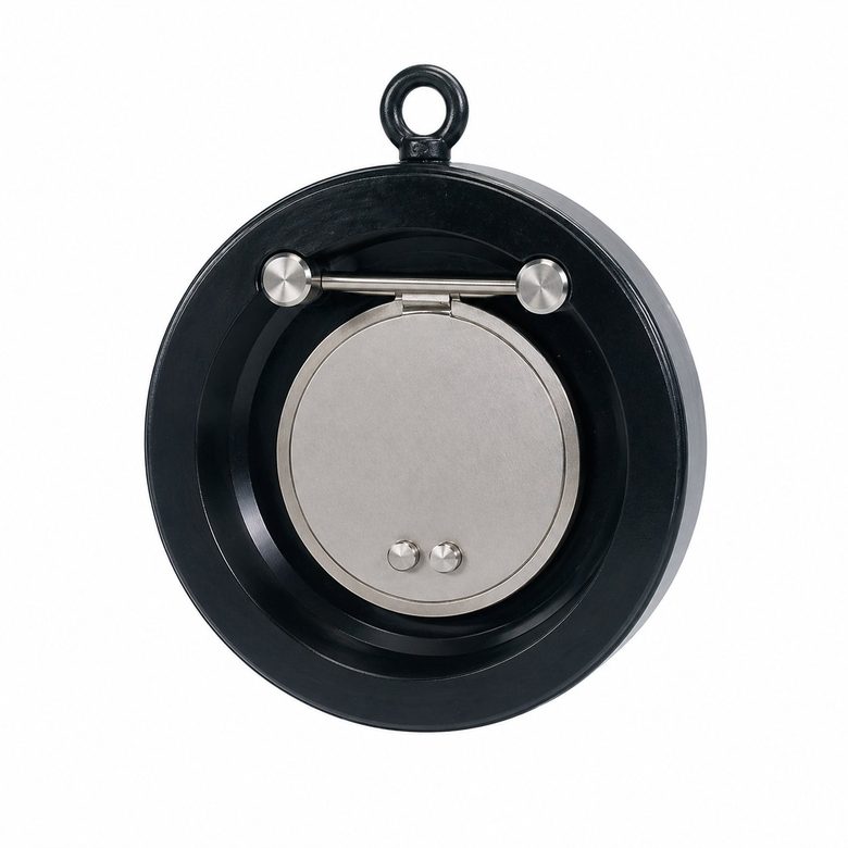 Wafer check valve
