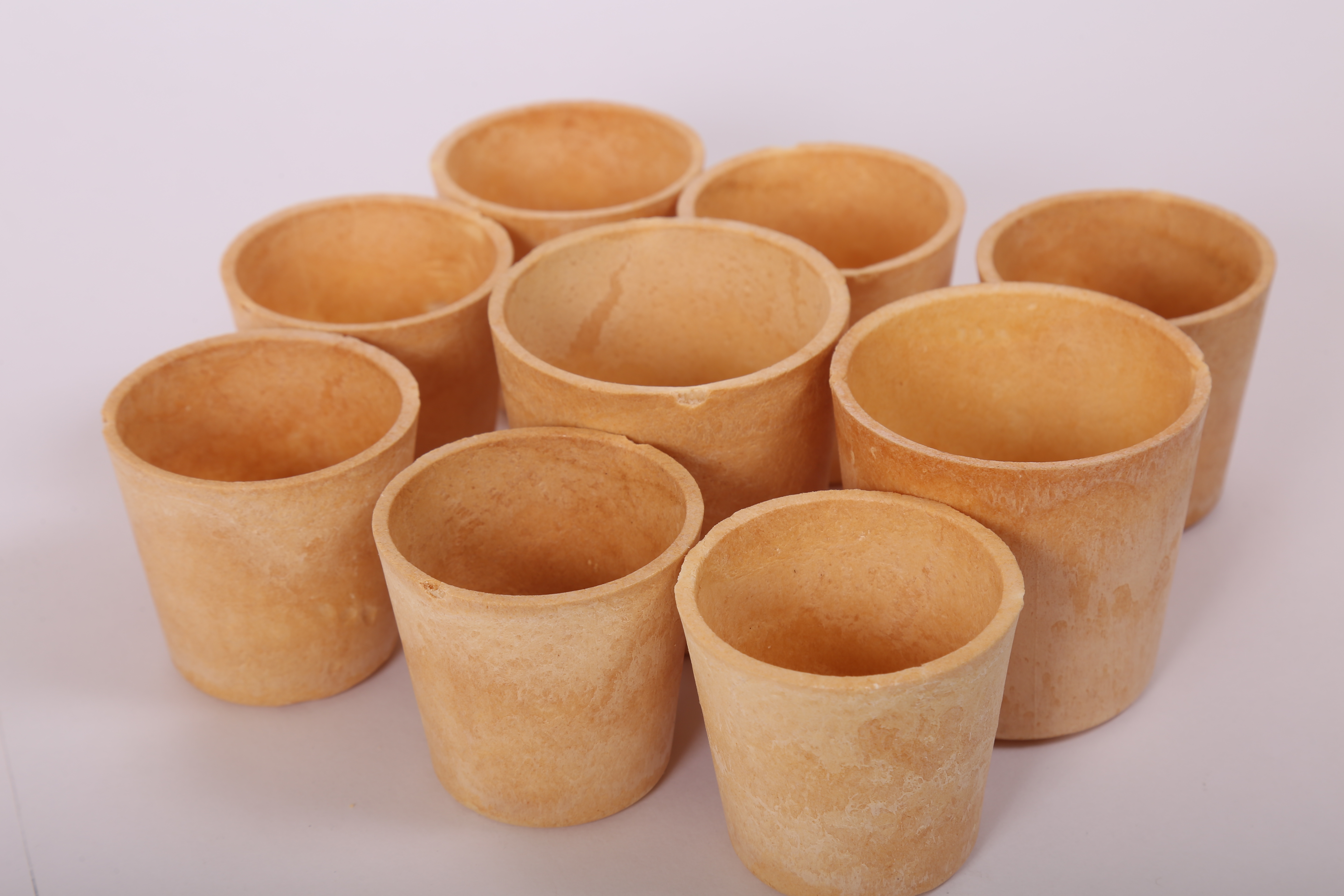 Medium Bagasse Cup