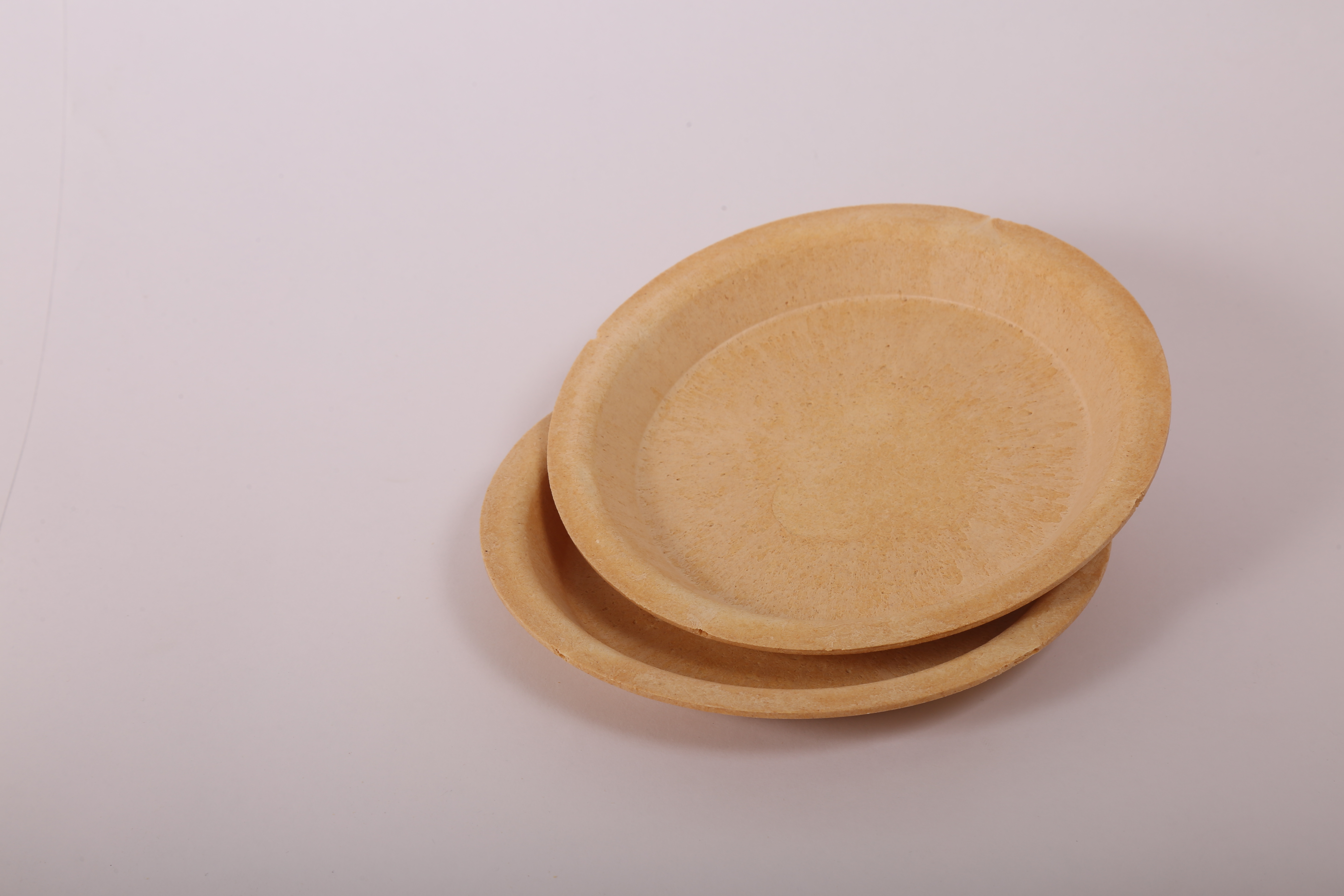 7 inch Bagasse Round Plate