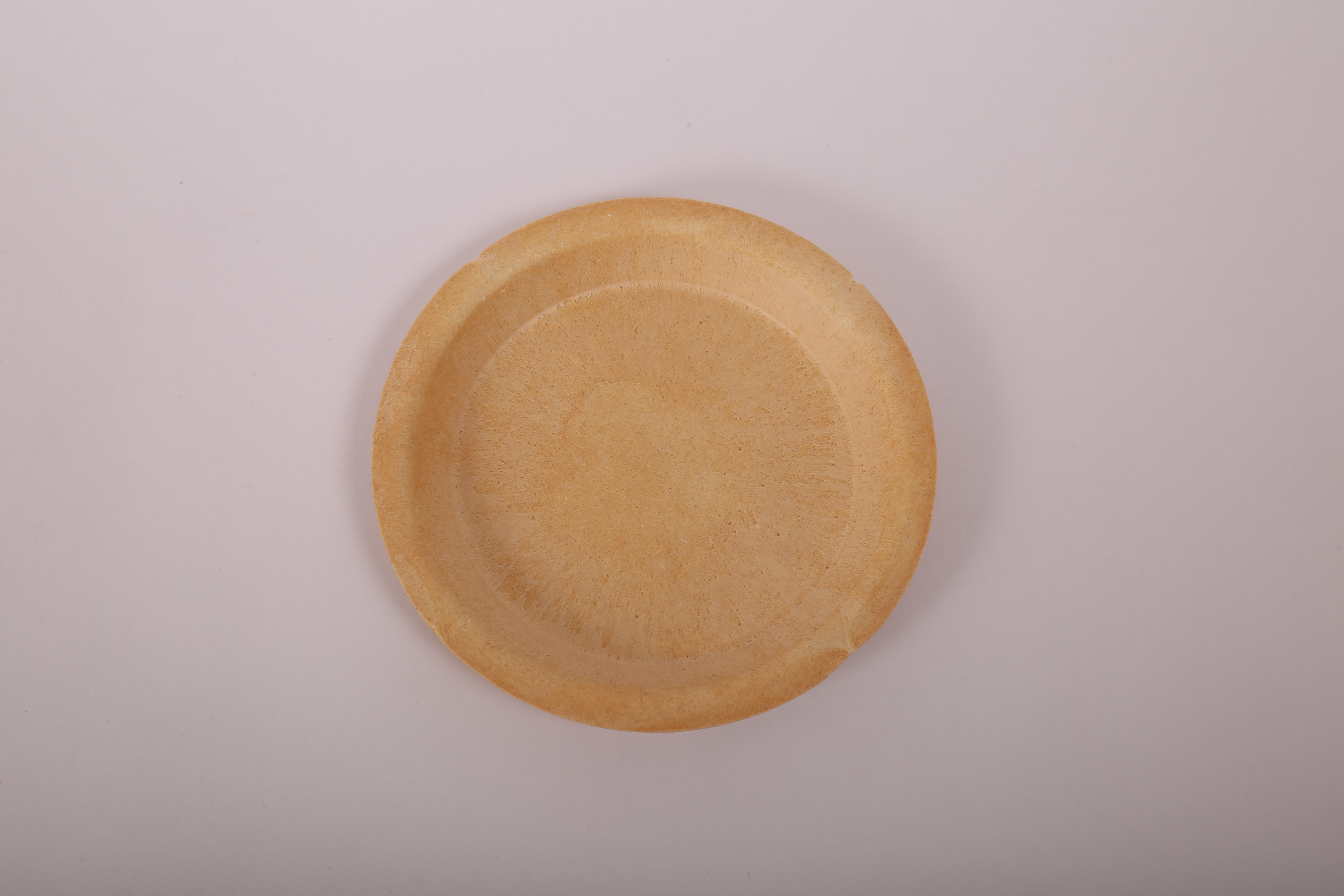 9 inch Bagasse Round Plate