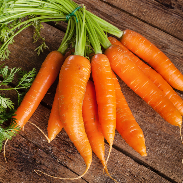 Carrot