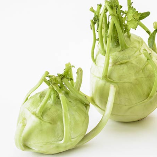 Capsicum