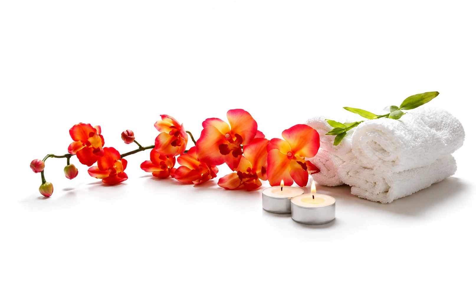 Body Scrubs & Wraps